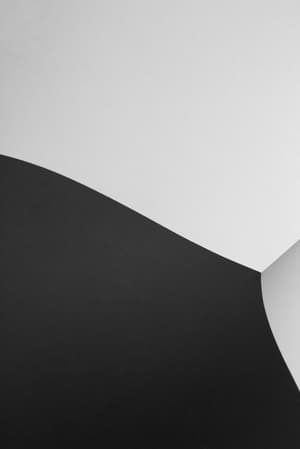 Elephant Studios – Light