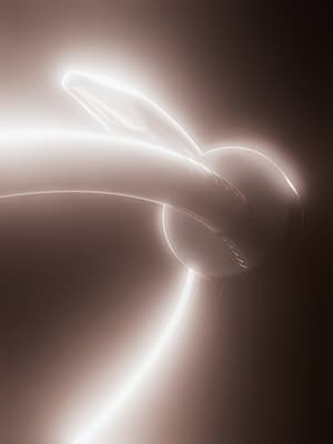 Haw-lin ©2024 – Bloom