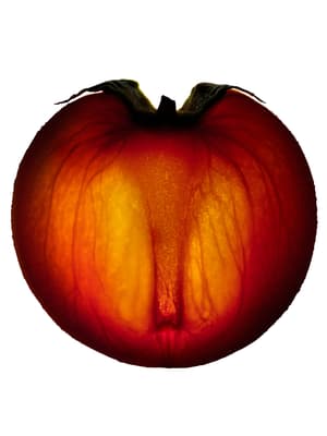 IMAGE MAGAZINE – NEON FRUIT EDITORIAL