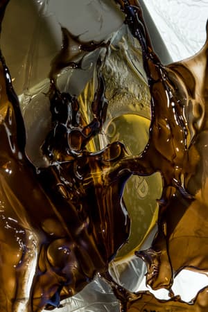 TUSH Magazine – Scent Oddity